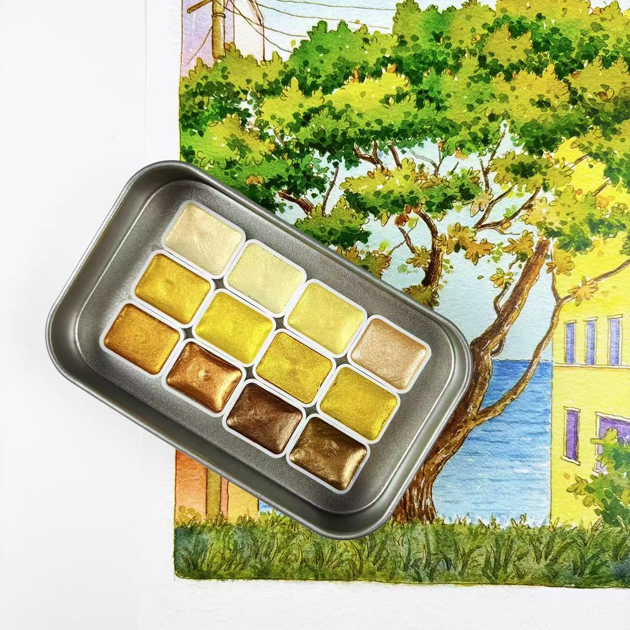 Watercolor Paint Set Solid Pigment - Sanat için Tasarlanmış, Özel 12 Renk