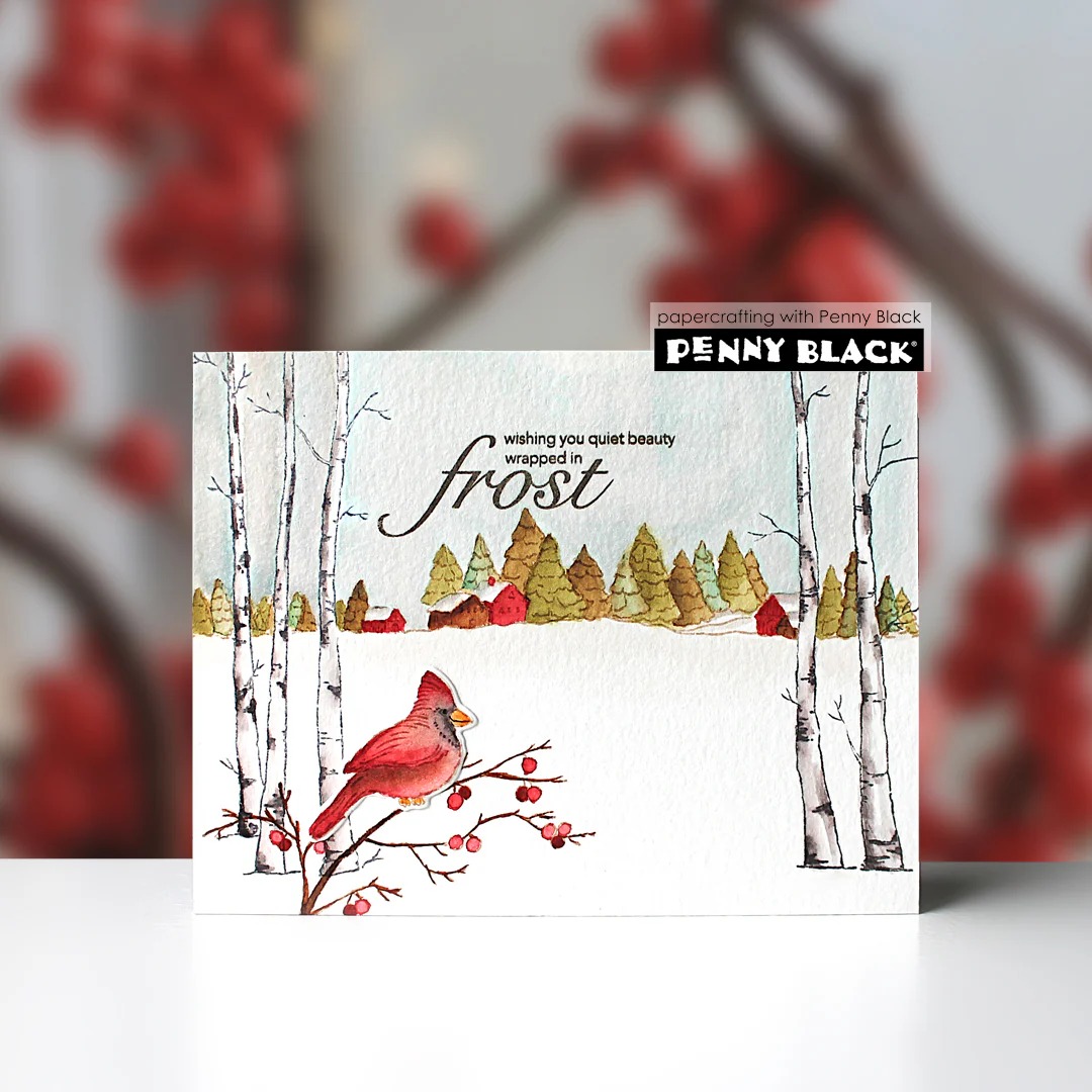 Sessiz Güzellik şeffaf silikon - Clear Silicone Stamps For Card Making incelemesi ve fiyatı