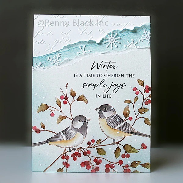 Sessiz Güzellik şeffaf silikon - Clear Silicone Stamps For Card Making incelemesi ve fiyatı