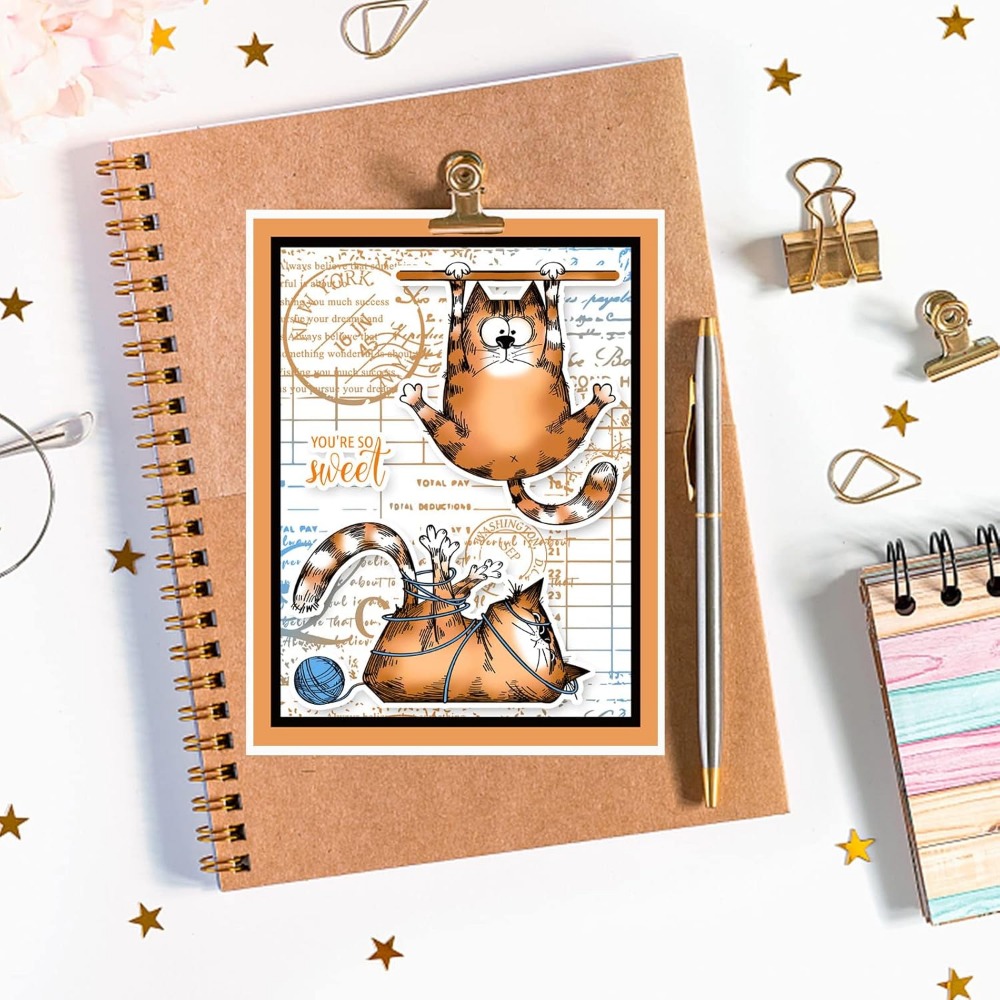 8.3x5.8in Kedi Temizle Pullar  - Clear Silicone Stamps For Card Making incelemesi ve fiyatı