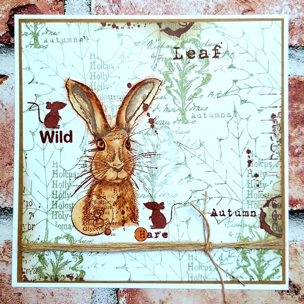 DIY yapımı için şeffaf silikon - Clear Silicone Stamps For Card Making incelemesi ve fiyatı
